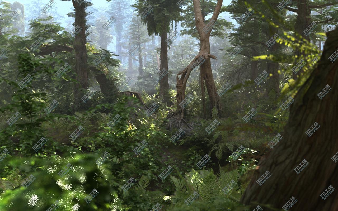 images/goods_img/20210113/Sequoia Forest HD 3D model/4.jpg